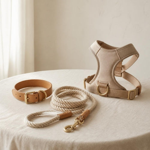Collars & Harnesses