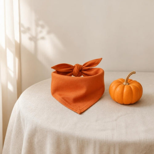 Pet Halloween