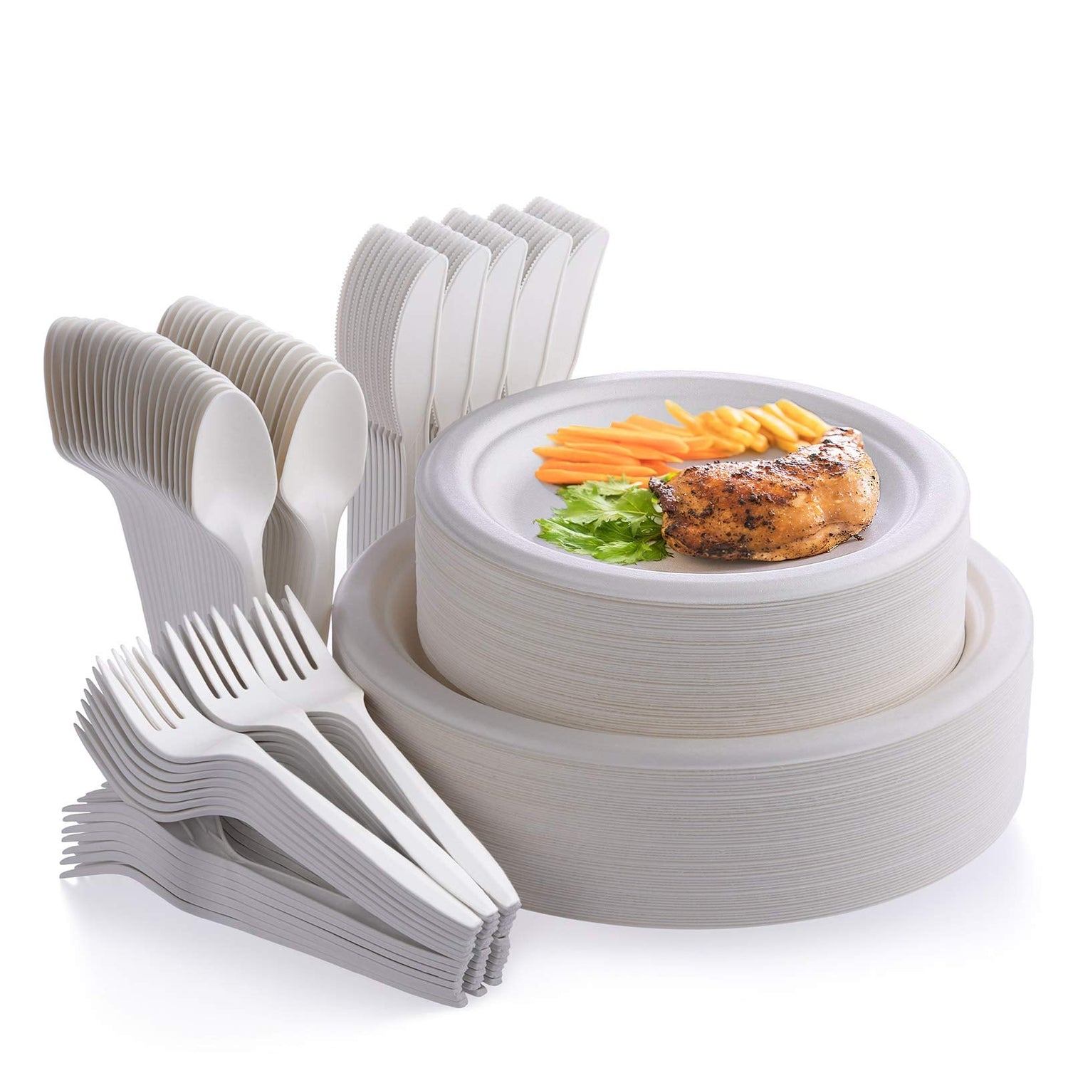 Disposable Dinnerware