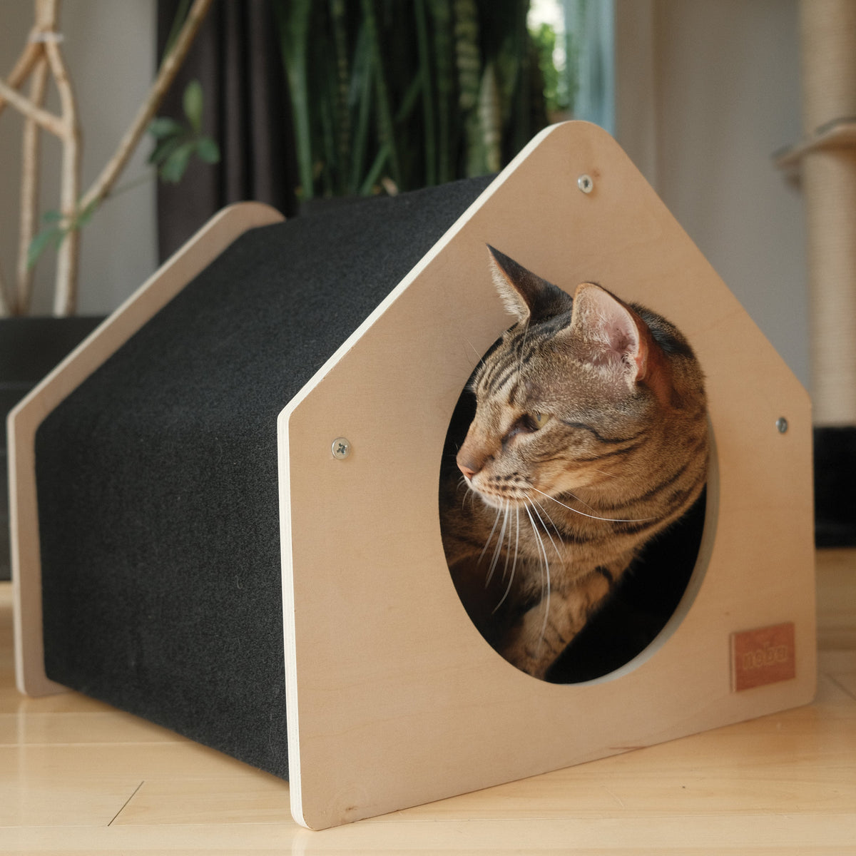 Pet Brands
