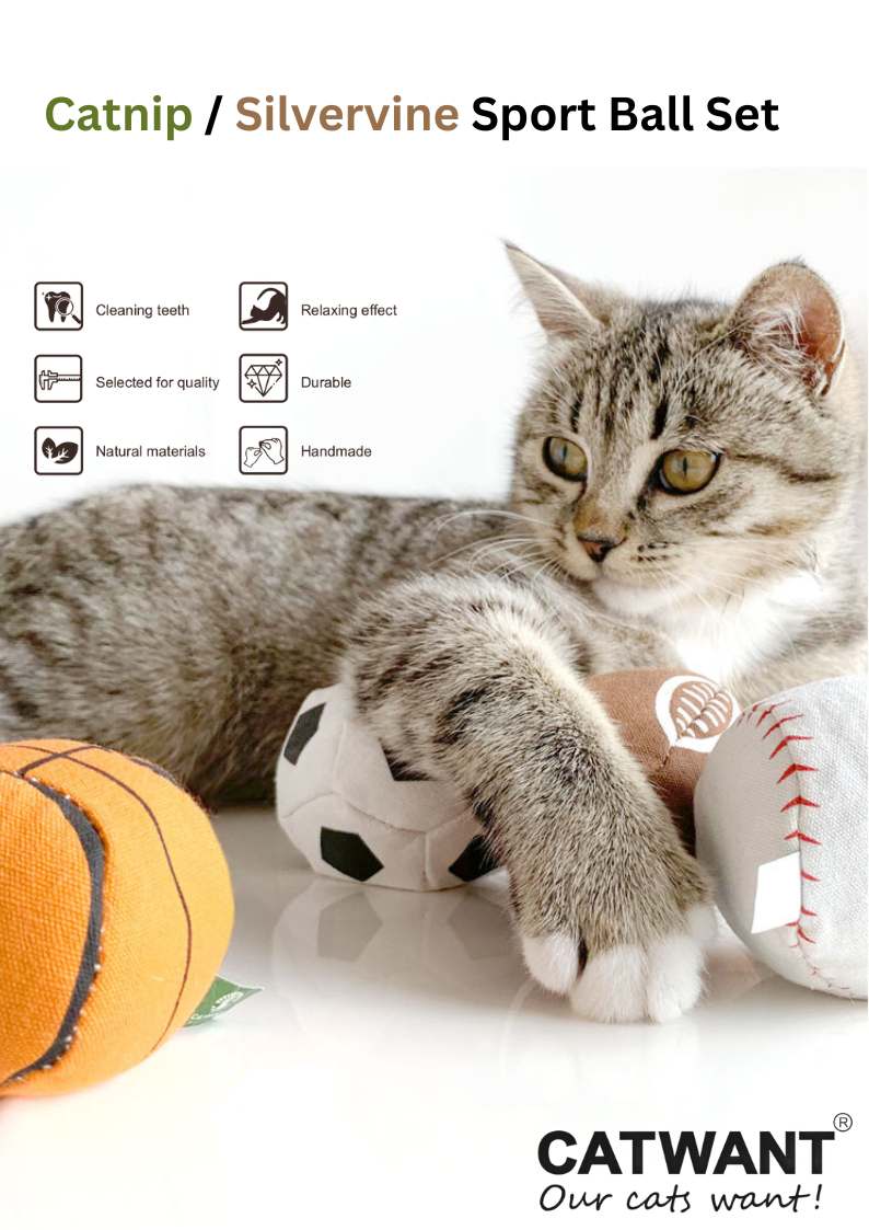 100% Silvervine/Catnip Filled Sport Ball Set - 4-Pack