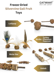 Freeze Dried Silvervine Gall Fruit Toys