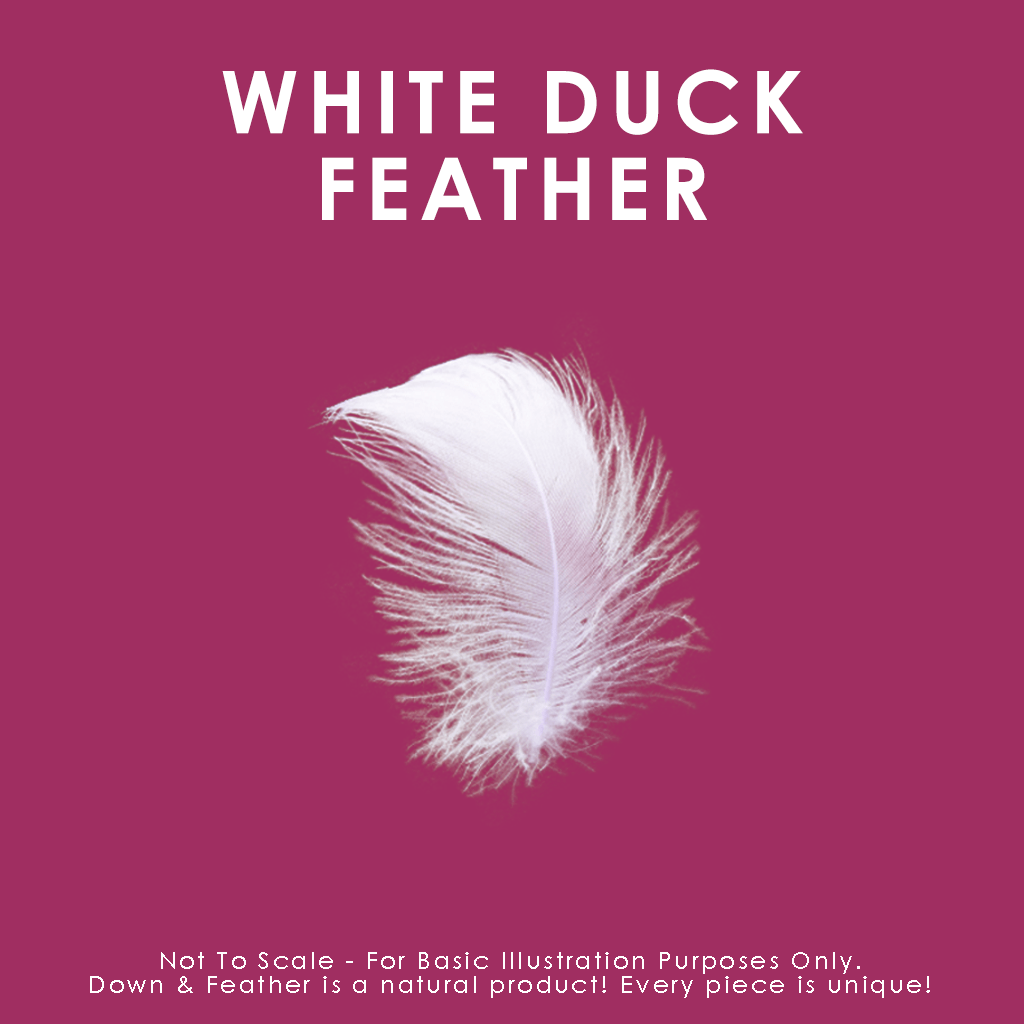 Canadian Down & Feather White Feather Cushion