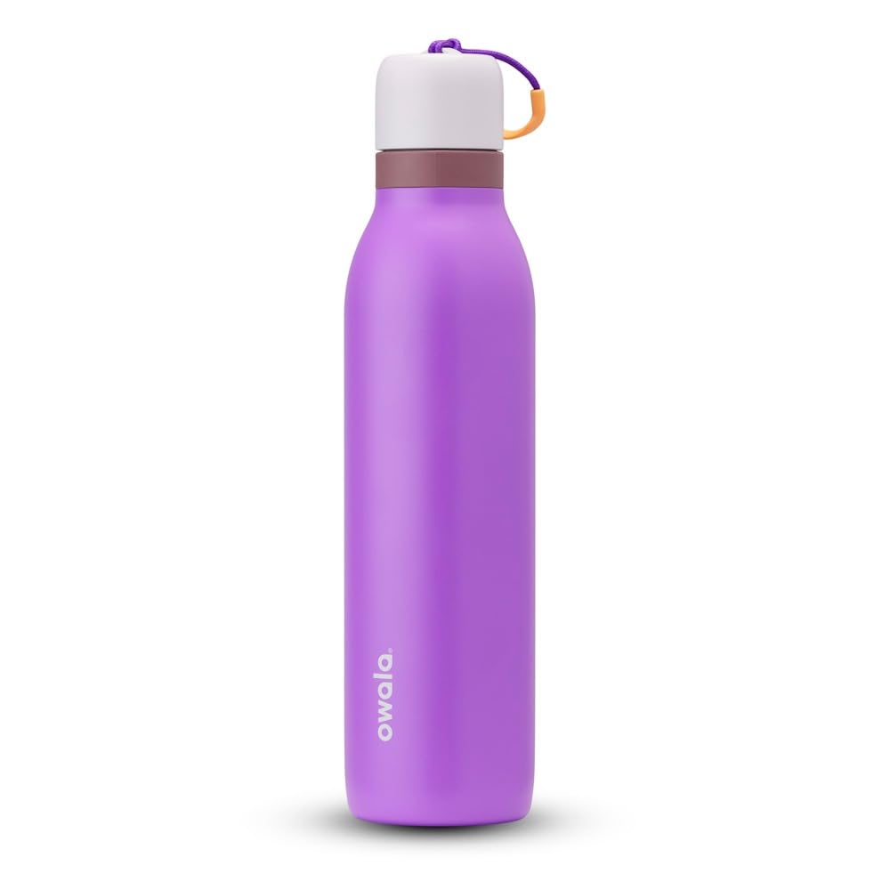 Owala FreeSip Twist Water Bottle, 24oz, California Grapevine