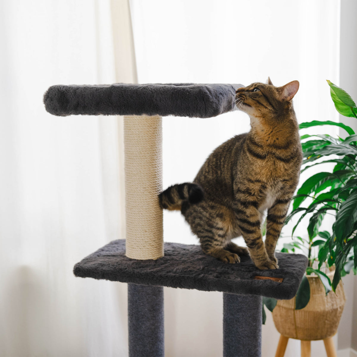 Noba Hut Hideout Deluxe 3-Level Cat Tree