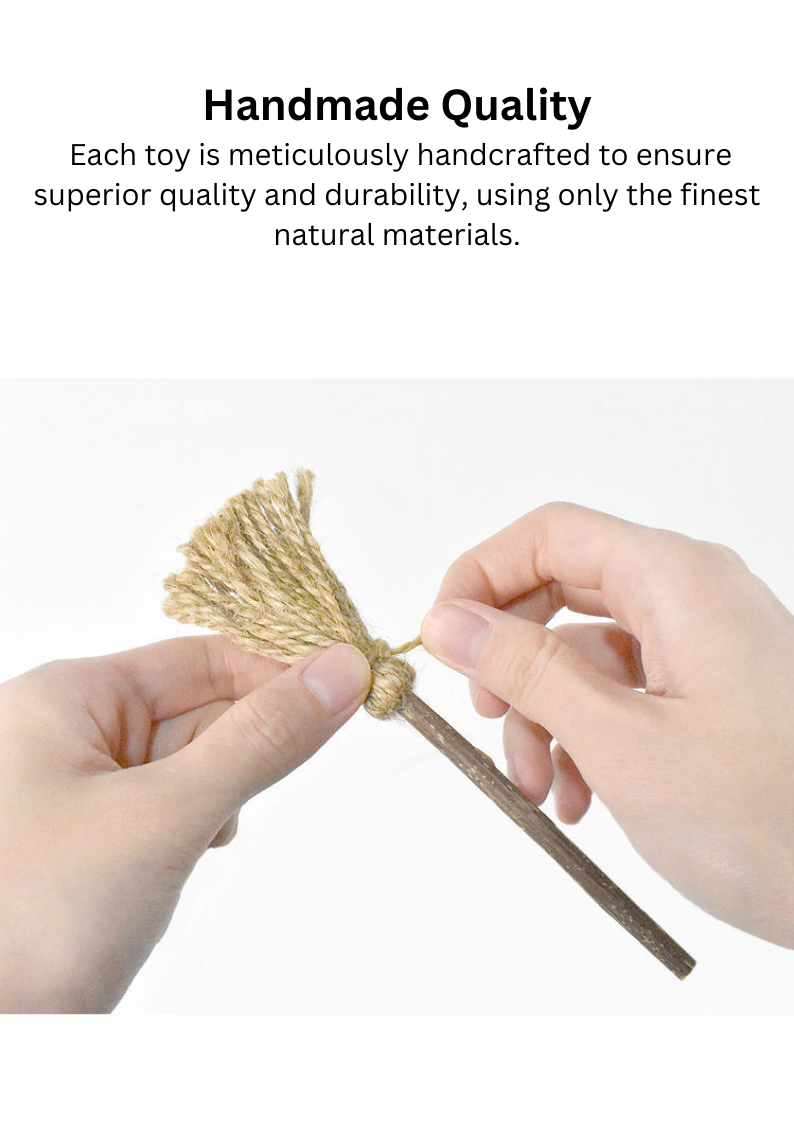 Silvervine Magic Broom