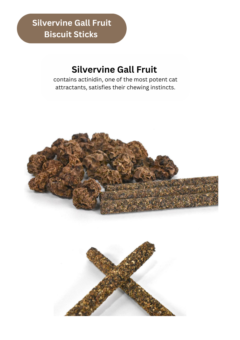 Silvervine Gall Fruit / Catnip Biscuit Sticks - 8pcs