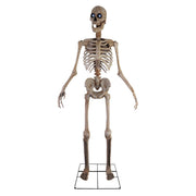 Haunted Hill Farm Bones McNeely 8 ft Talking Skeleton Animatronic
