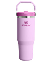 Stanley IceFlow 2.0 Flip Straw Tumbler with Handle, 30 oz, Soft Orchid