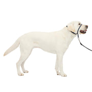 PetSafe Gentle Leader No-Pull Dog Headcollar, Large, Charcoal