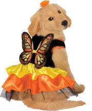 Rubies Halloween Classics Pet Costume, Medium, Monarch Butterfly