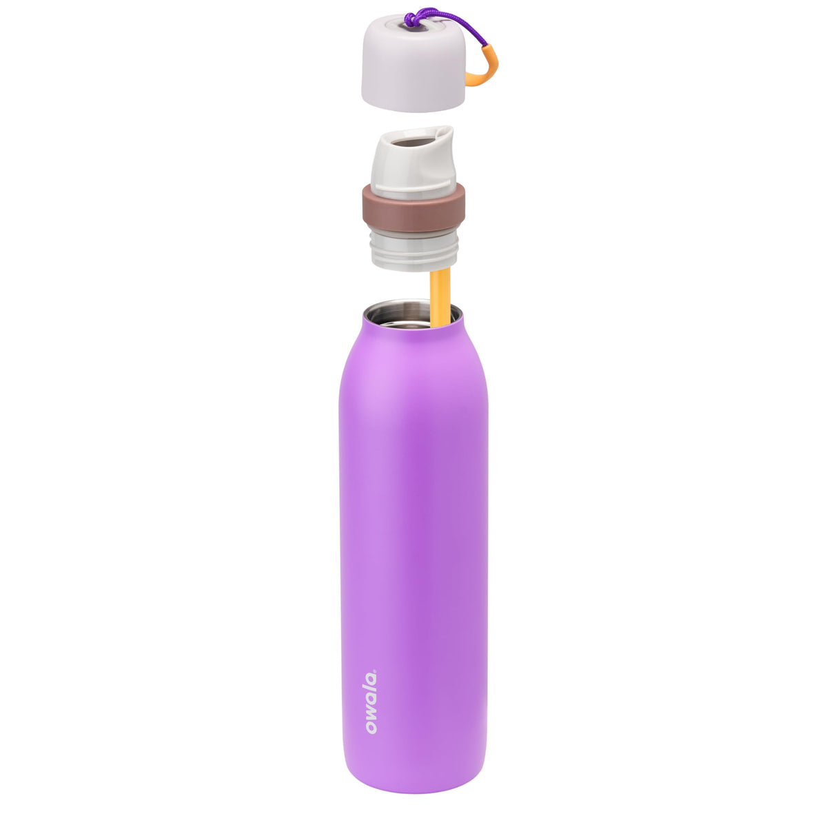 Owala FreeSip Twist Water Bottle, 24oz, California Grapevine