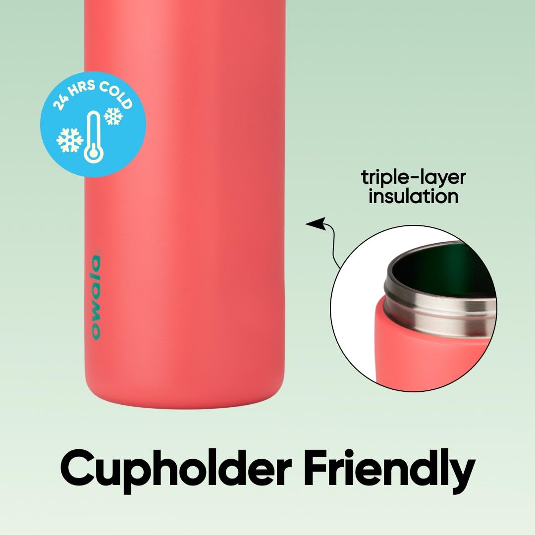 Owala FreeSip Stainless Steel Water Bottle, 24 oz, Strawberry Field