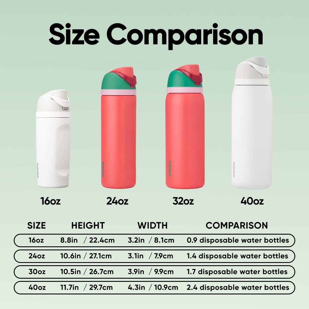 Owala FreeSip Stainless Steel Water Bottle, 32 oz, Strawberry Field