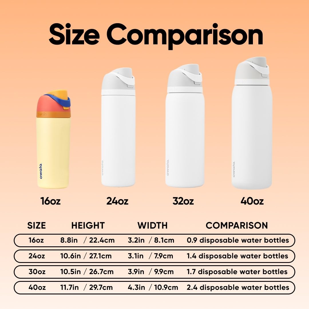 Owala Kids FreeSip Stainless Steel Water Bottle, 16 oz, Misty Horizon
