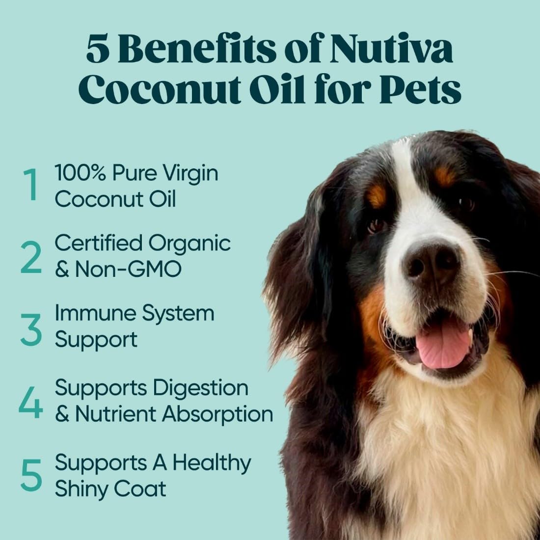 Nutiva Organic Cold-Pressed Virgin Coconut Oil, 1.6 L