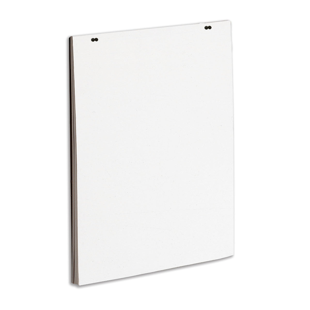 Quartet Newsprint Easel Pad, 24" x 36", 50 Sheets, 3413889603