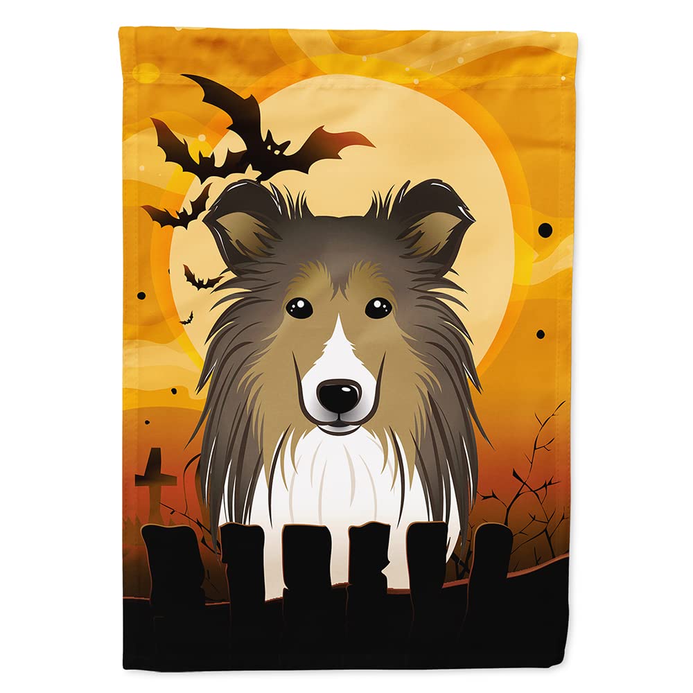 Caroline's Treasures BB1800CHF Sheltie Flag, Large