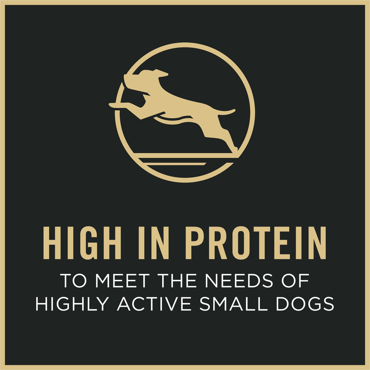 Purina Pro Plan Savor Small Breed Dry Dog Food, Chicken and Rice, 6 lb