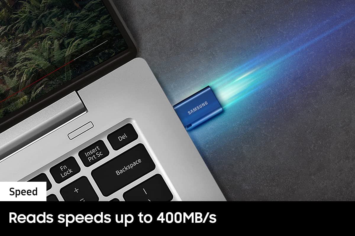 Samsung Type-C USB Flash Drive, 256GB, MUF-256DA/AM (Canada Version)