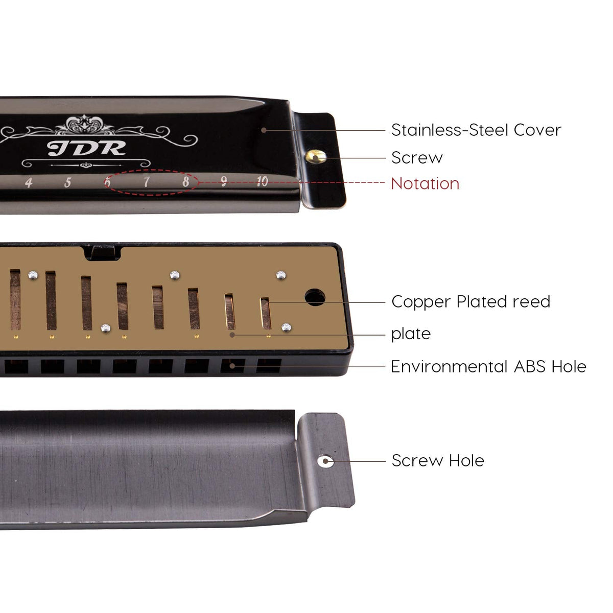JDR 10-Hole Diatonic Blues Harmonica, Key of C, Black