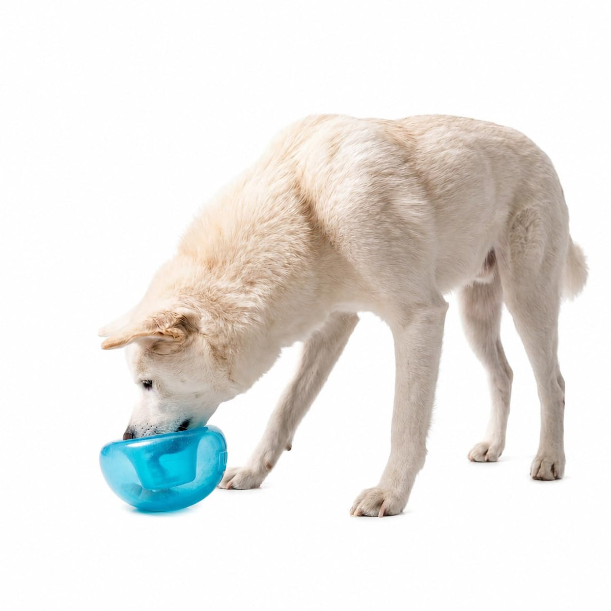 Planet Dog Orbee-Tuff Snoop Treat Puzzle Dog Toy, Blue