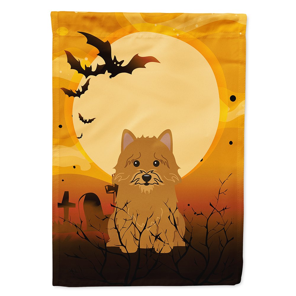 Caroline's Treasures BB4286CHF Norwich Terrier Flag, Large