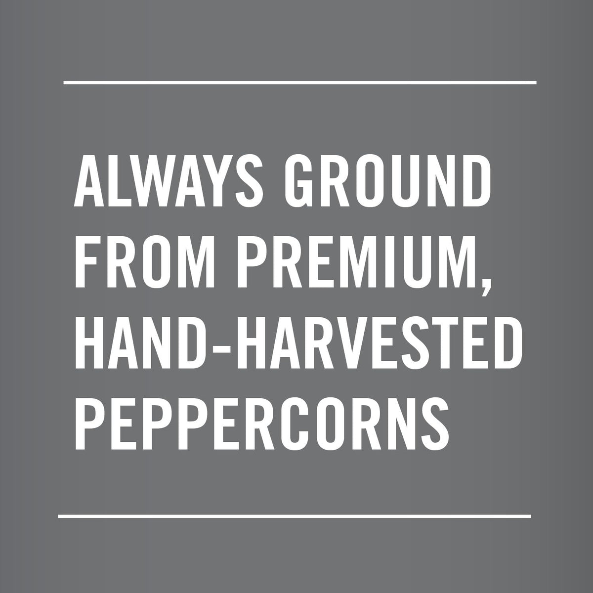 Club House Restaurant Grind Black Pepper, 500 g