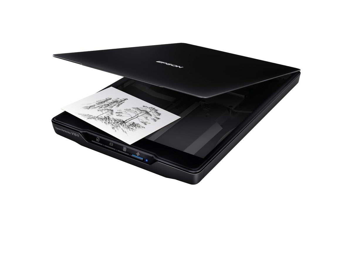 Epson Perfection V19 II Flatbed Photo Scanner, 4800 dpi