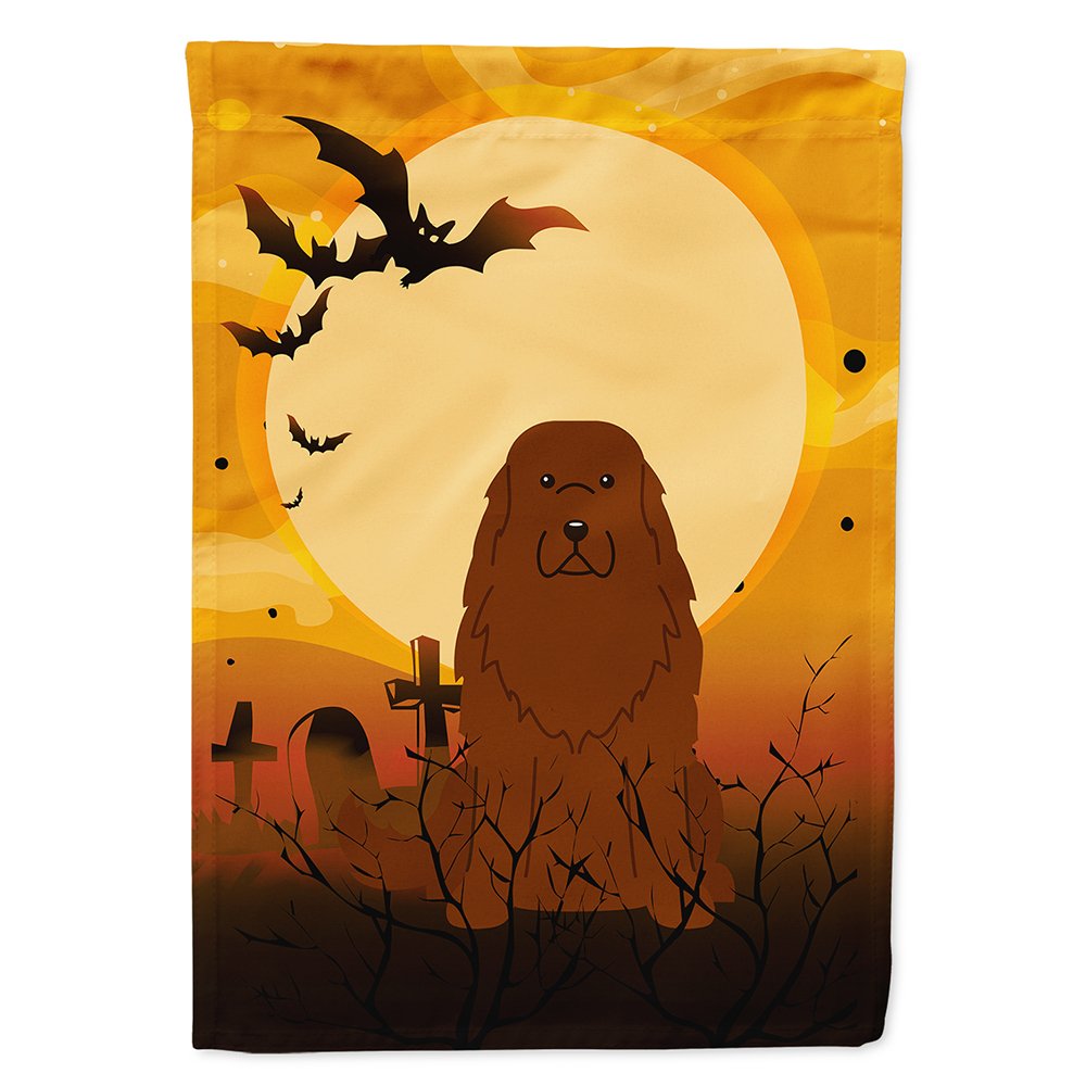 Caroline's Treasures BB4316CHF Caucasian Shepherd Dog Flag, Large