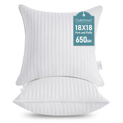 Oubonun Throw Pillow Inserts, 18 x 18, Pack of 2