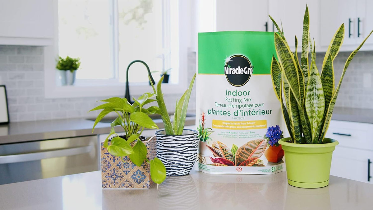 Miracle-Gro Indoor Potting Mix, 8.8L, 2 Pack