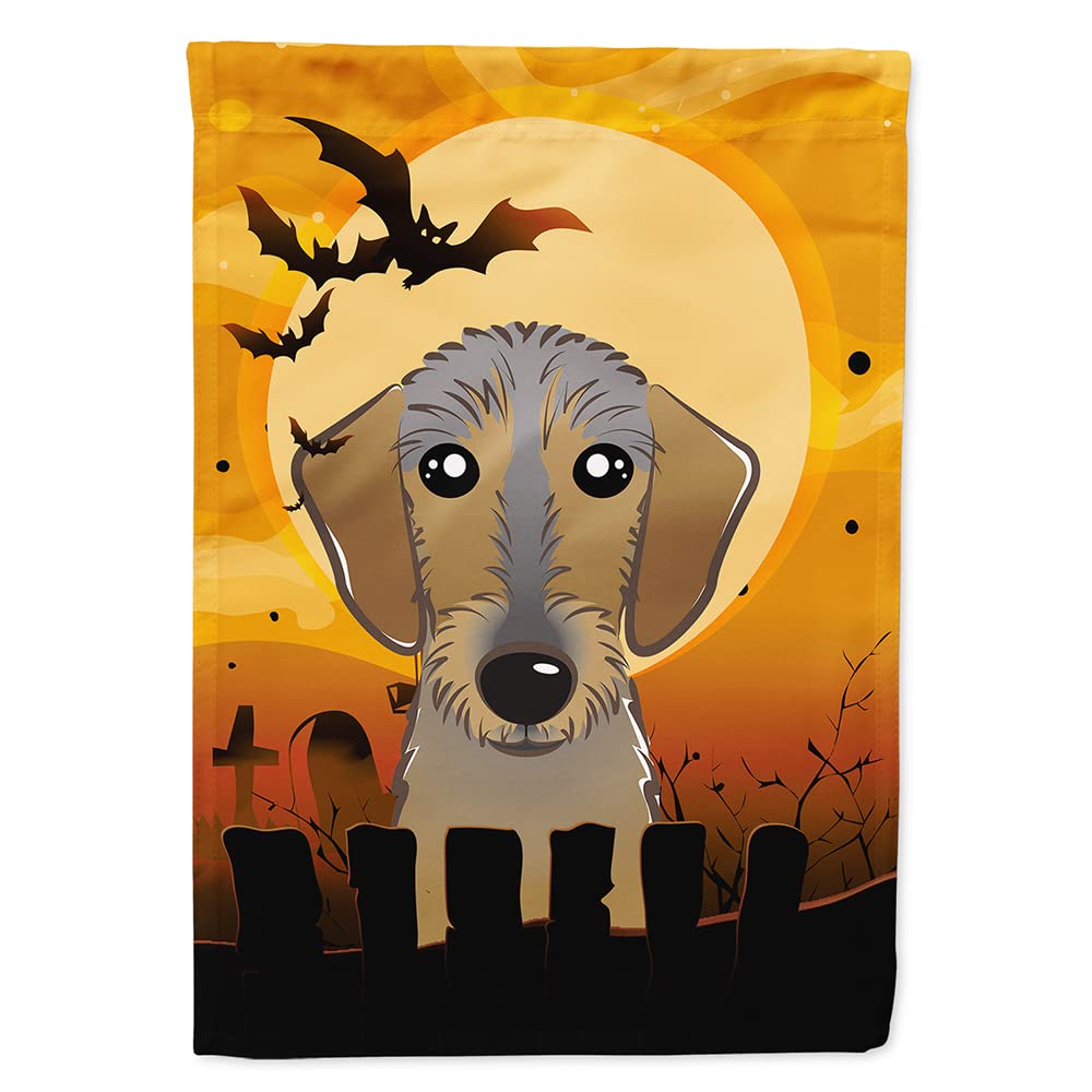 Caroline's Treasures Halloween Wirehaired Dachshund House Flag