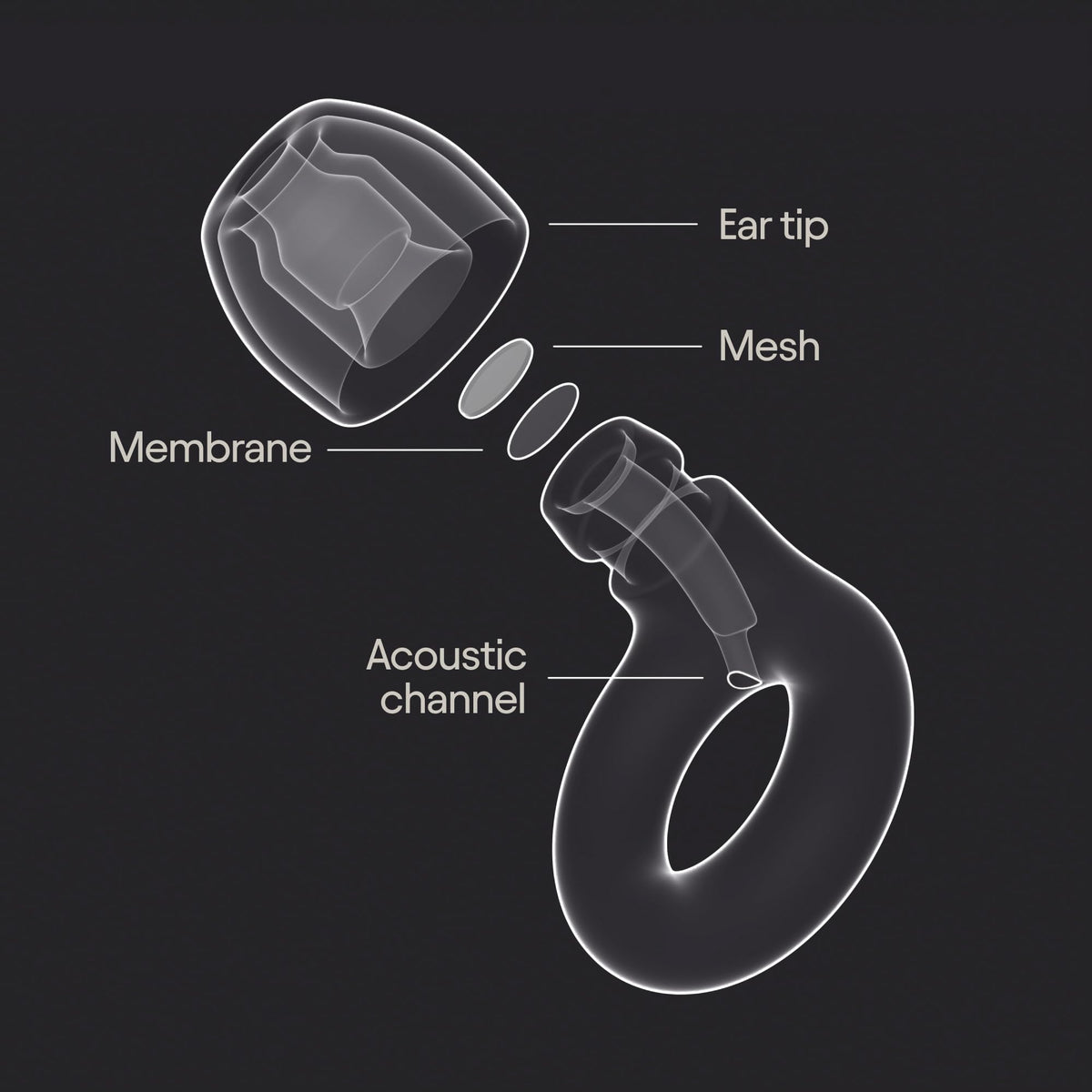 Loop Experience 2 High-Fidelity Ear Plugs, 17 dB