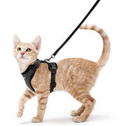 rabbitgoo Escape-Proof Cat Harness and Leash Set, Black, XS
