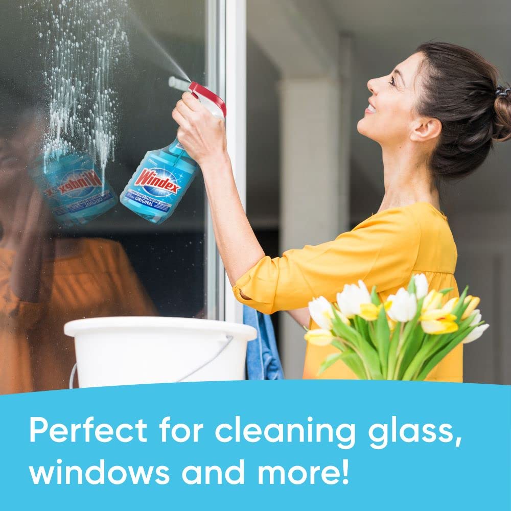 Windex Original Glass and Window Cleaner Refill, 5 L