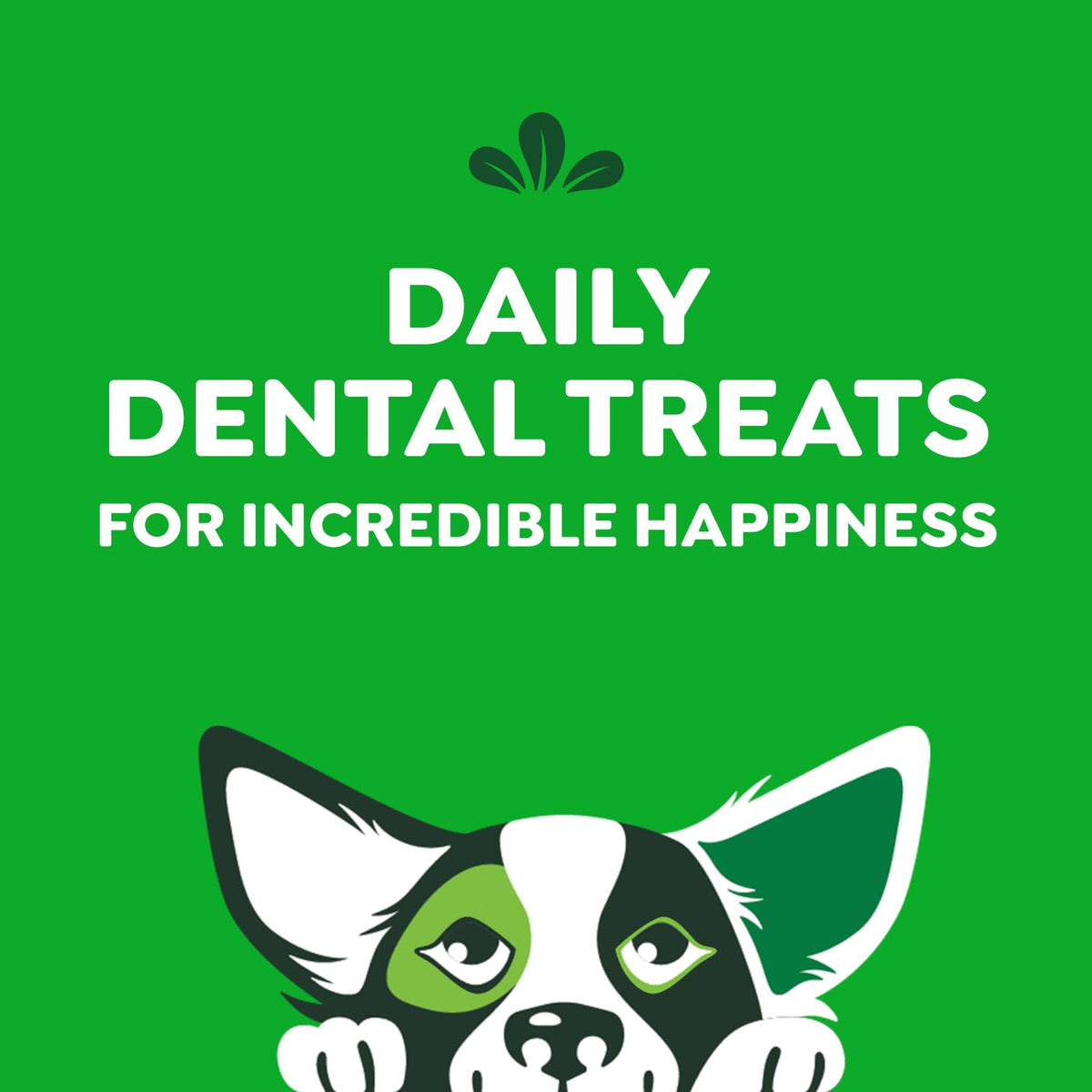 GREENIES Original Petite Dental Dog Treats, 60 Count