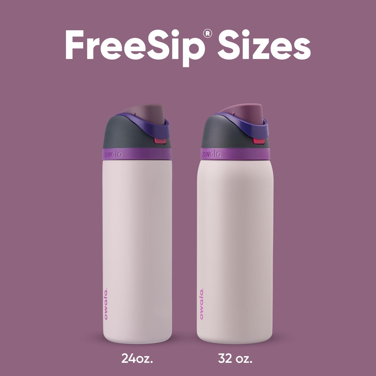 Owala FreeSip Insulated Water Bottle, 24 oz, Dreamy Field