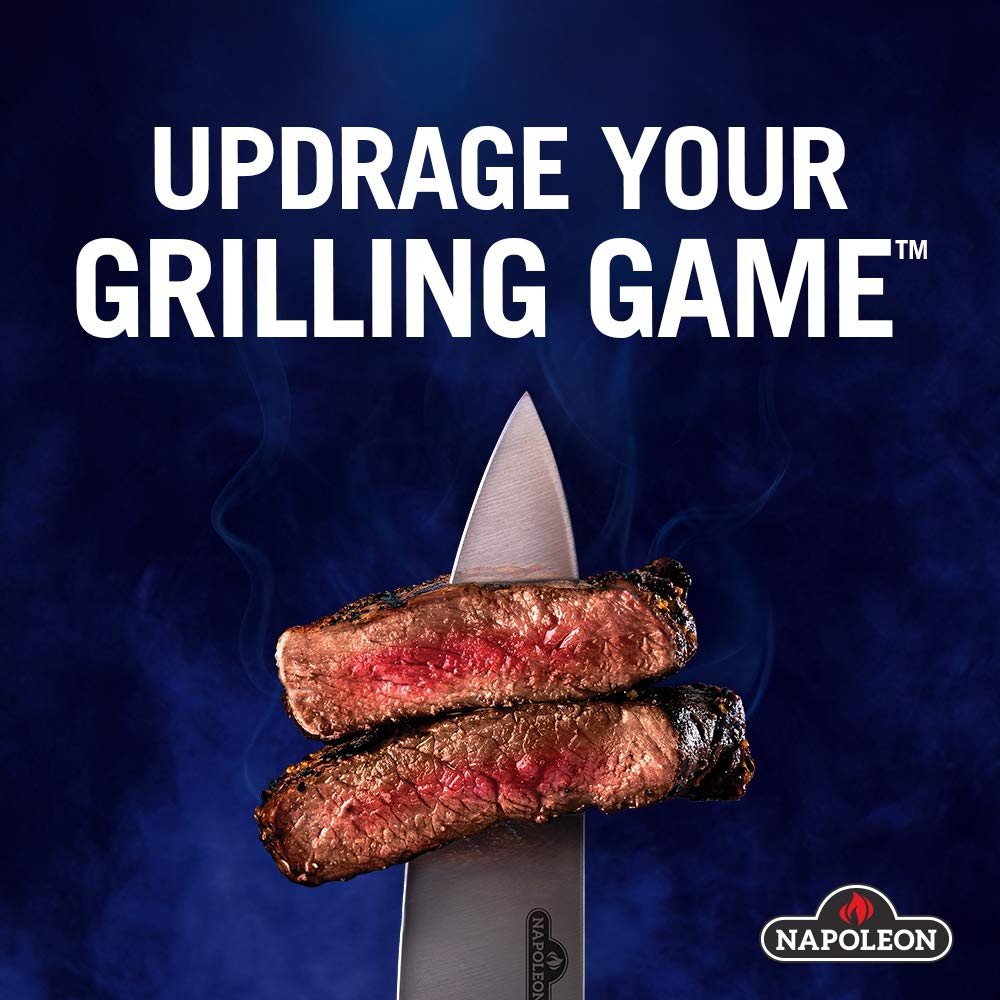 Napoleon Grill Light with 4 LED Lights (70049)