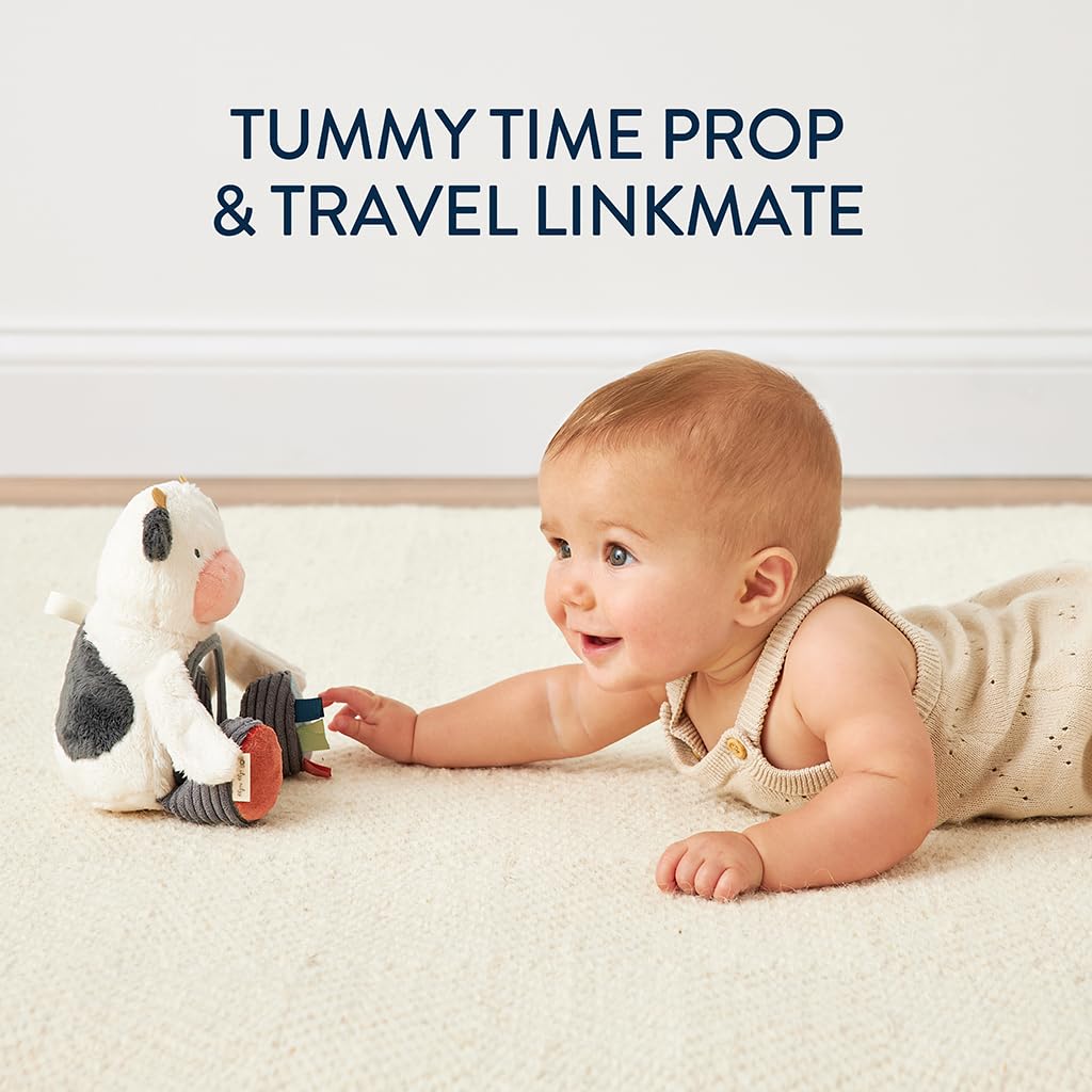 Itzy Ritzy Sensory Tummy Time Mirror Toy, Cow