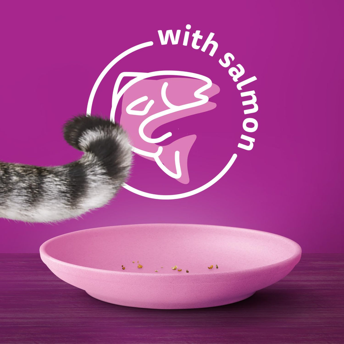 Whiskas Seafood Selections Dry Cat Food, Salmon and Shrimp, 9.1 kg