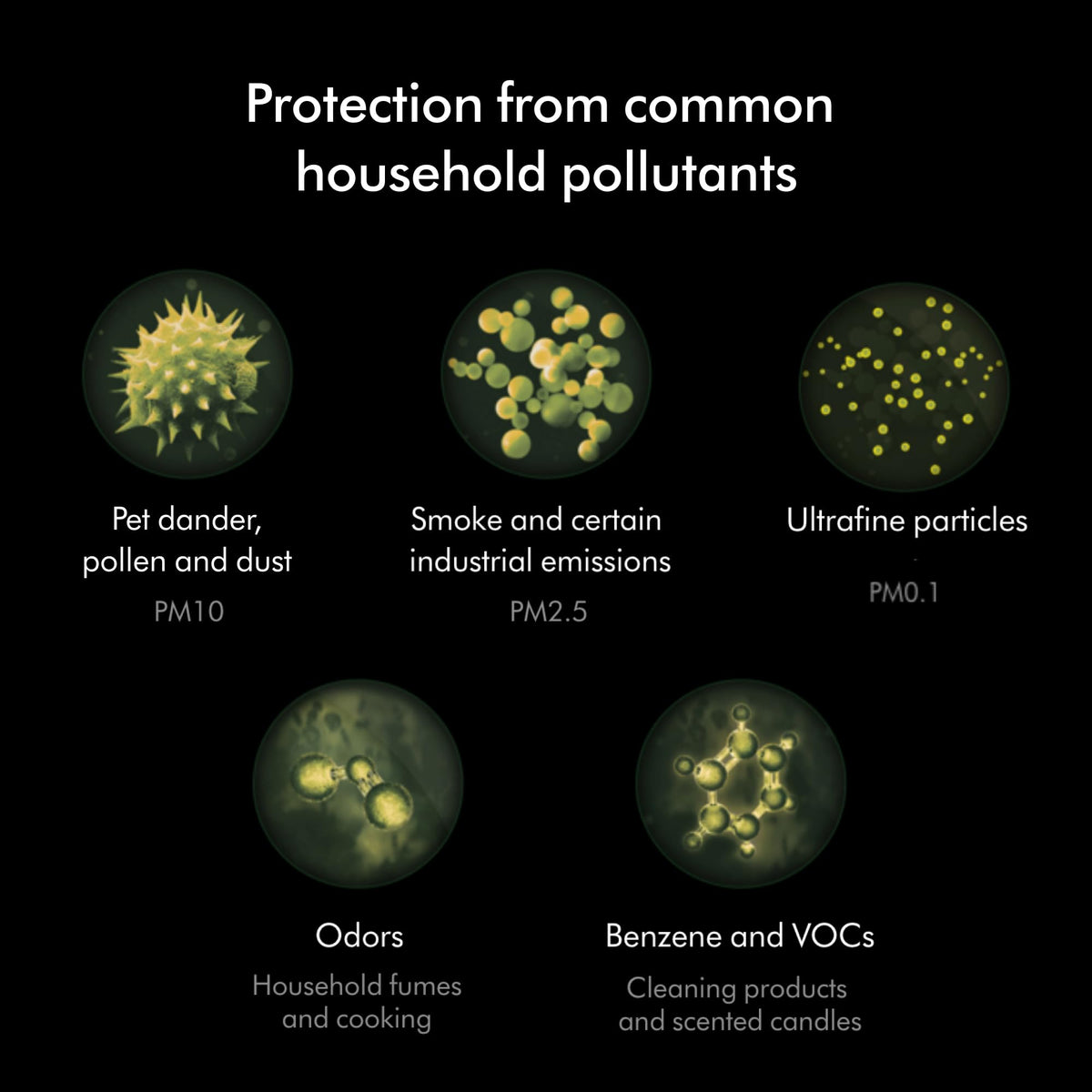 Dyson Combi 360° Glass HEPA + Carbon Air Purifier Filter