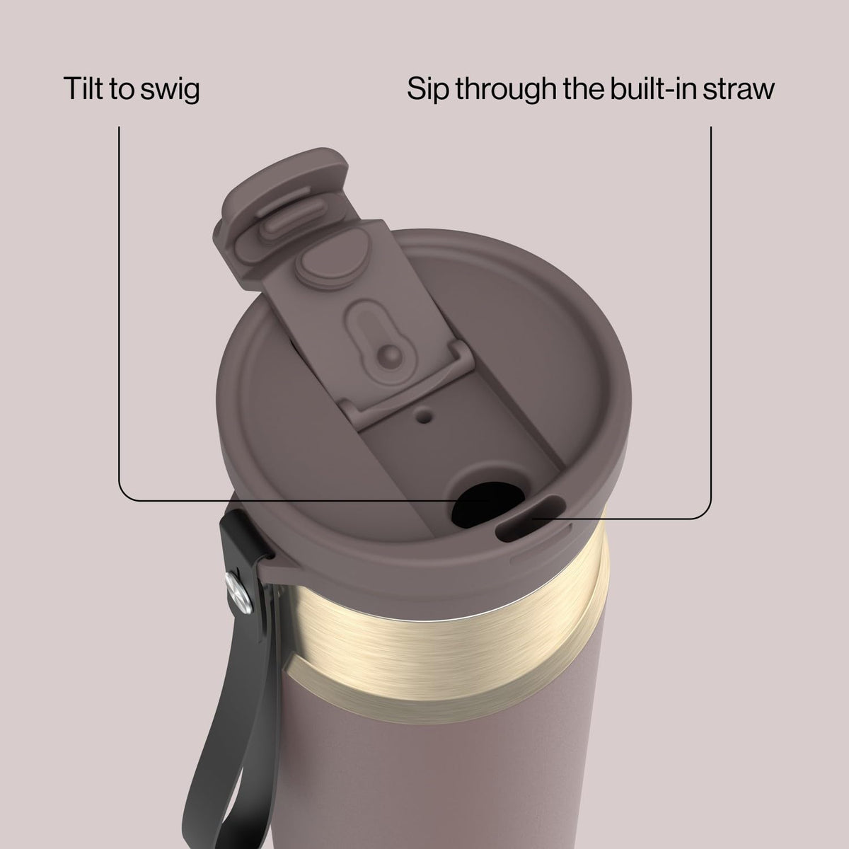 Contigo DualSip Water Bottle with Carry Strap, 24oz