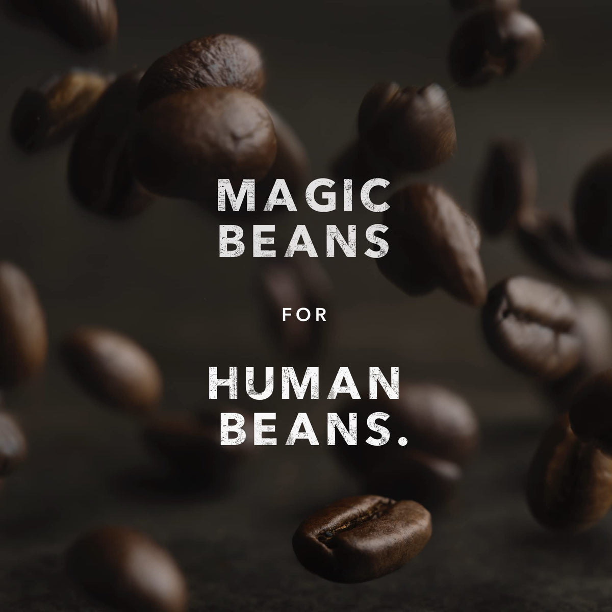 Kicking Horse Coffee Three Sisters Medium Roast Ground, 708 g