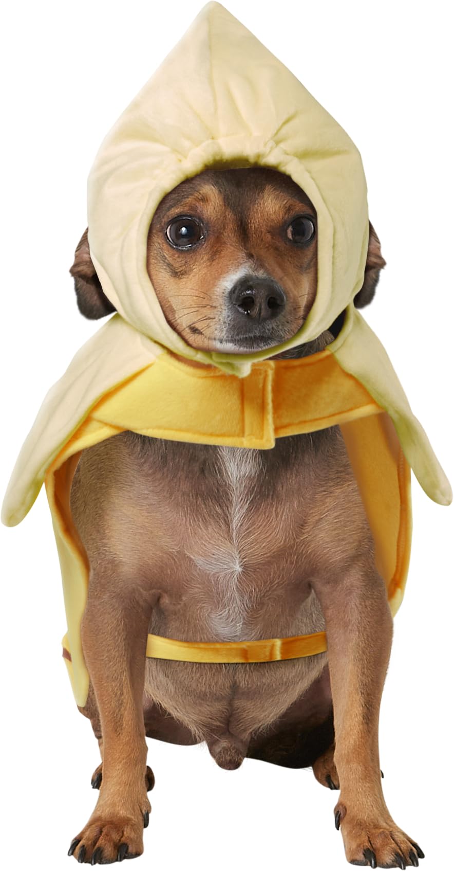 Rubies Halloween Classics Pet Costume, Large, Banana