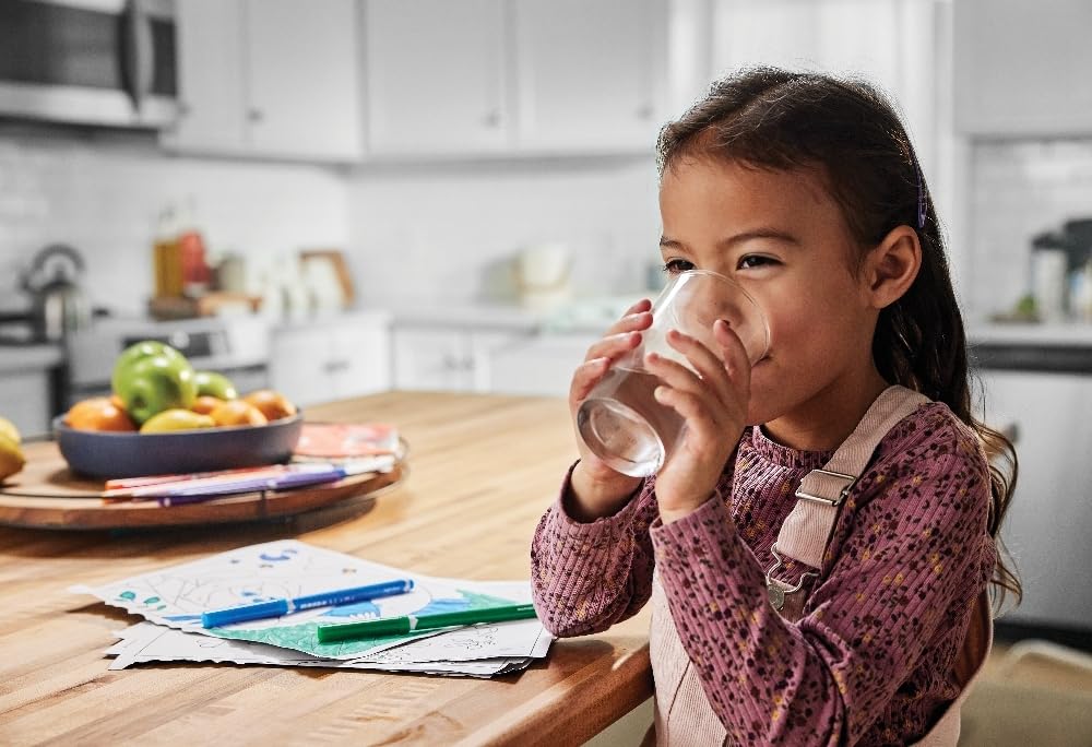 Frigidaire UltraWF Water Filter