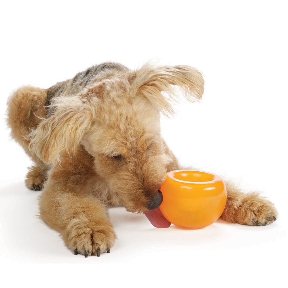 Outward Hound Snoop Treat Dispenser Puzzle Ball, Orange, 5 in