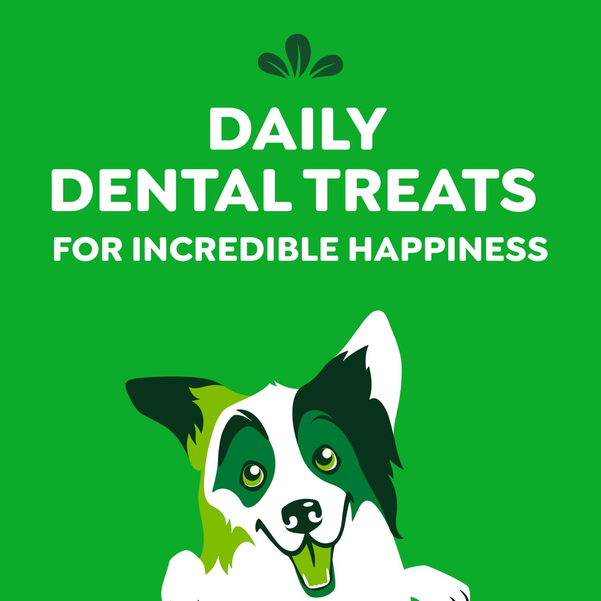 GREENIES Original Regular Dog Dental Treats, 36 oz (36 Count)