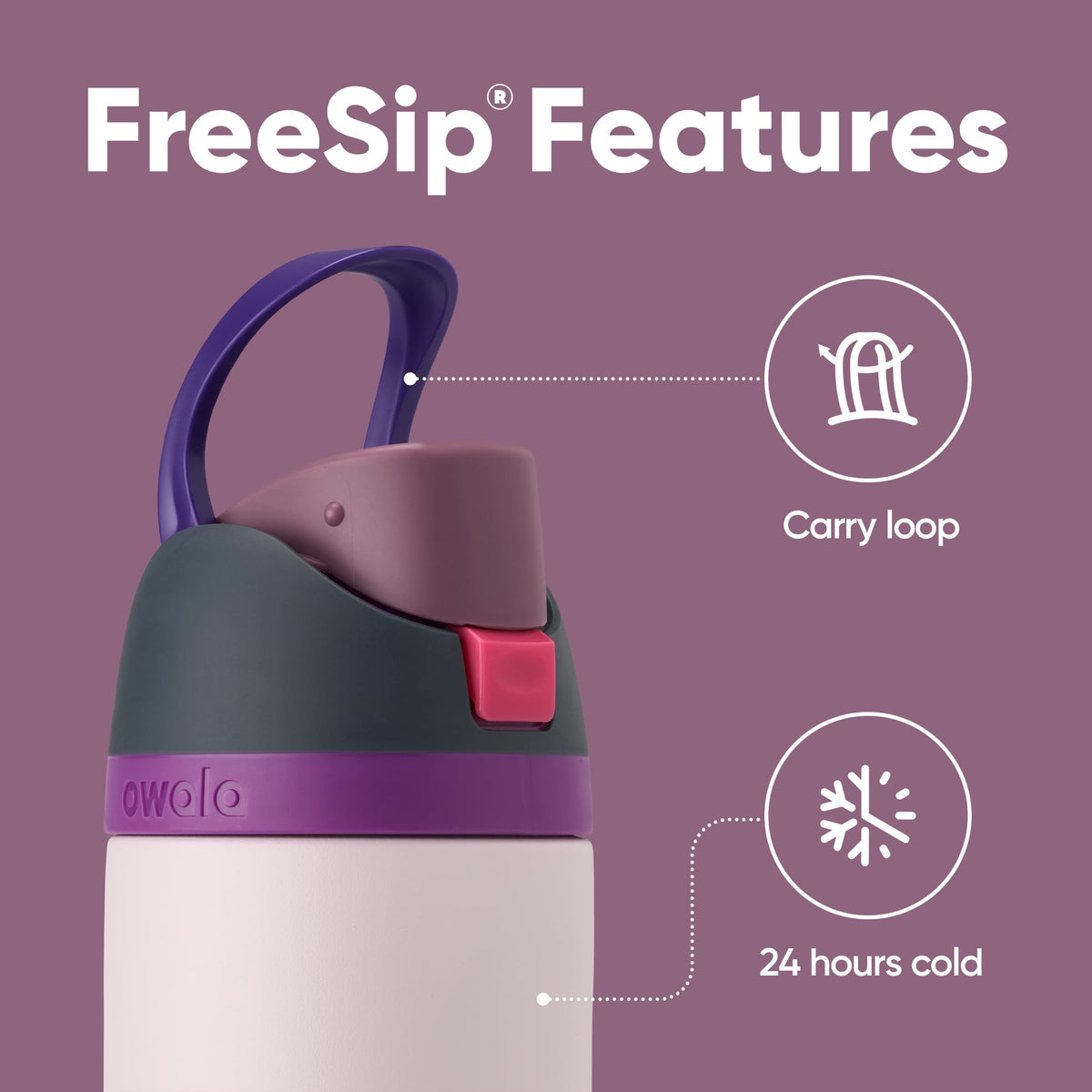 Owala FreeSip Insulated Water Bottle, 24 oz, Dreamy Field