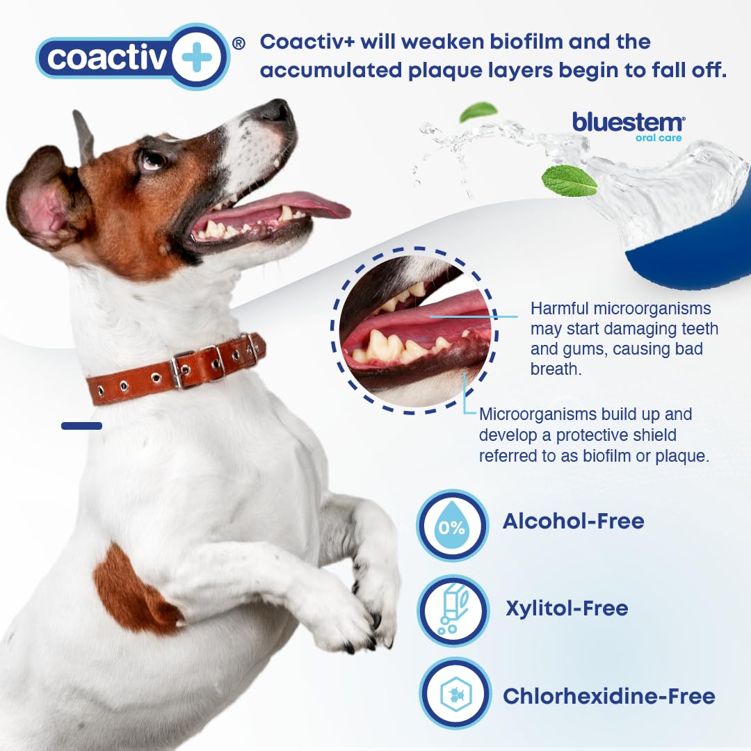 bluestem Dog Dental Water Additive, Vanilla Mint, 500 ml